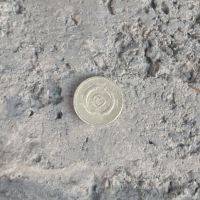 ارزش سکه ۱ پوندی