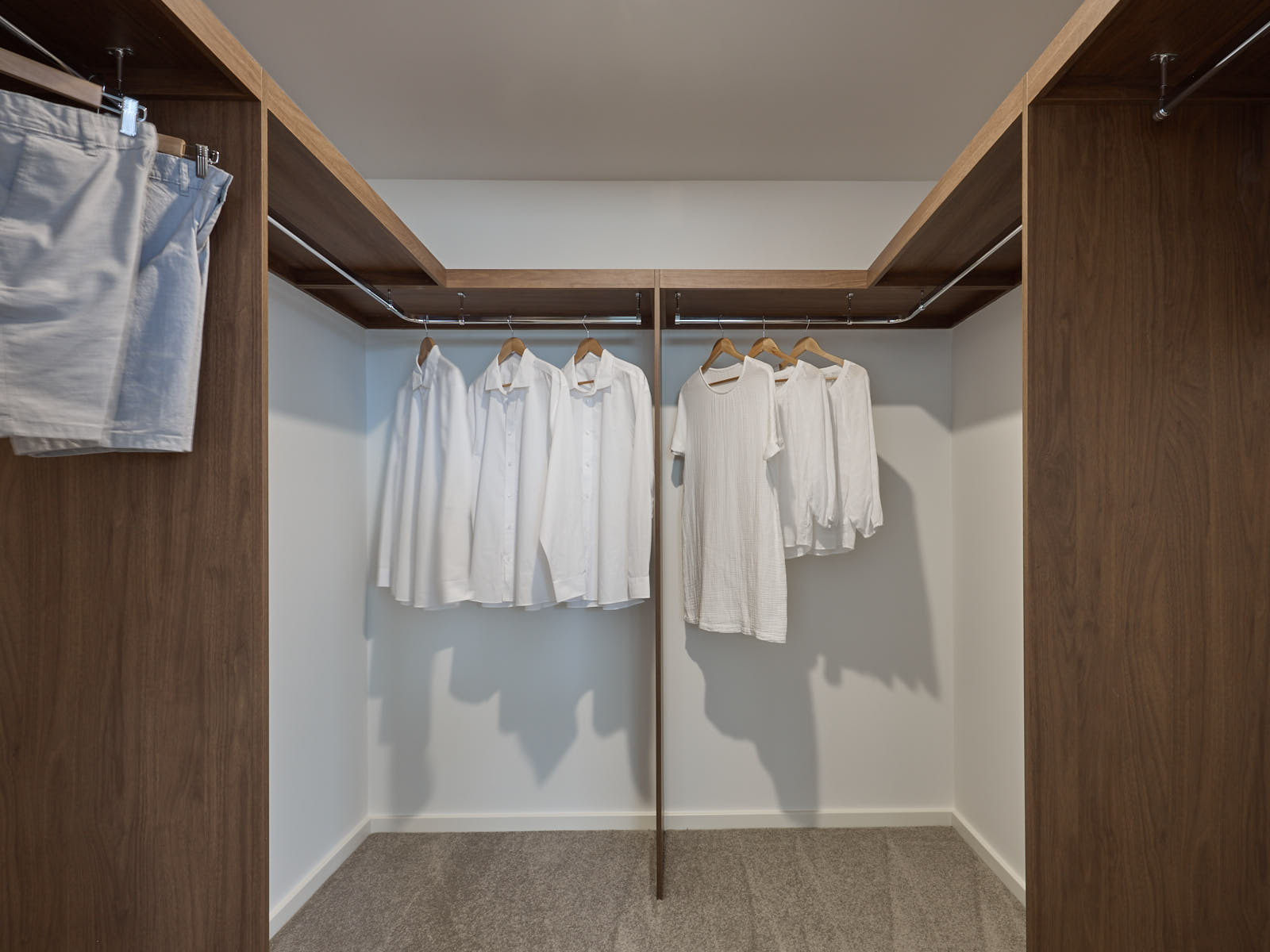 20260221 SH ElaraDisplay91