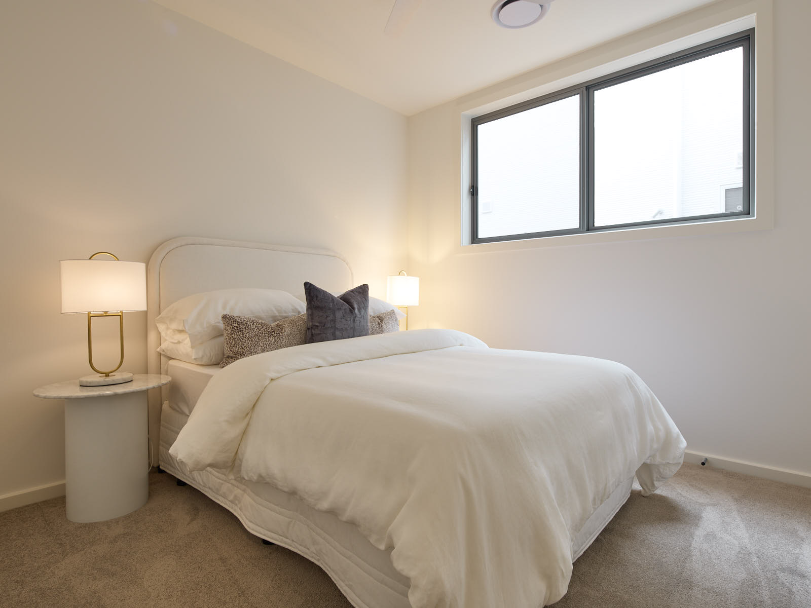 20260221 SH ElaraDisplay44