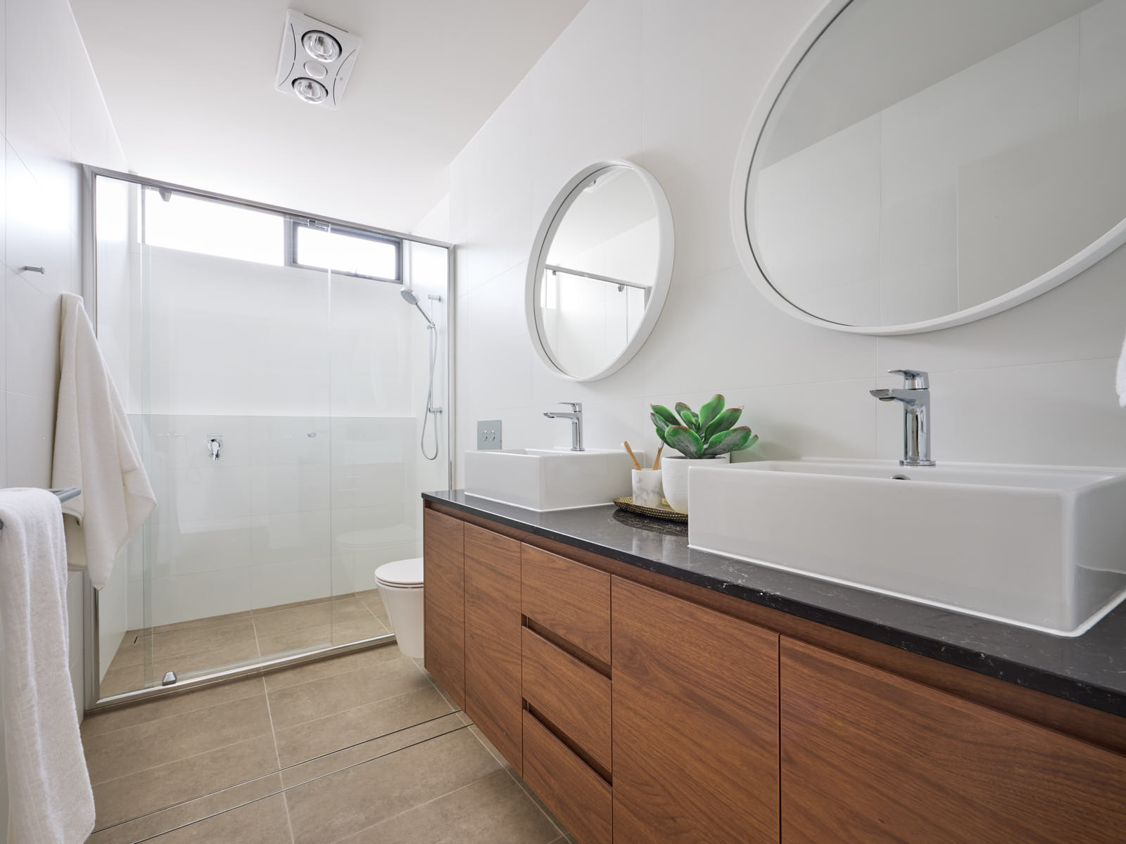 20260221 SH ElaraDisplay79