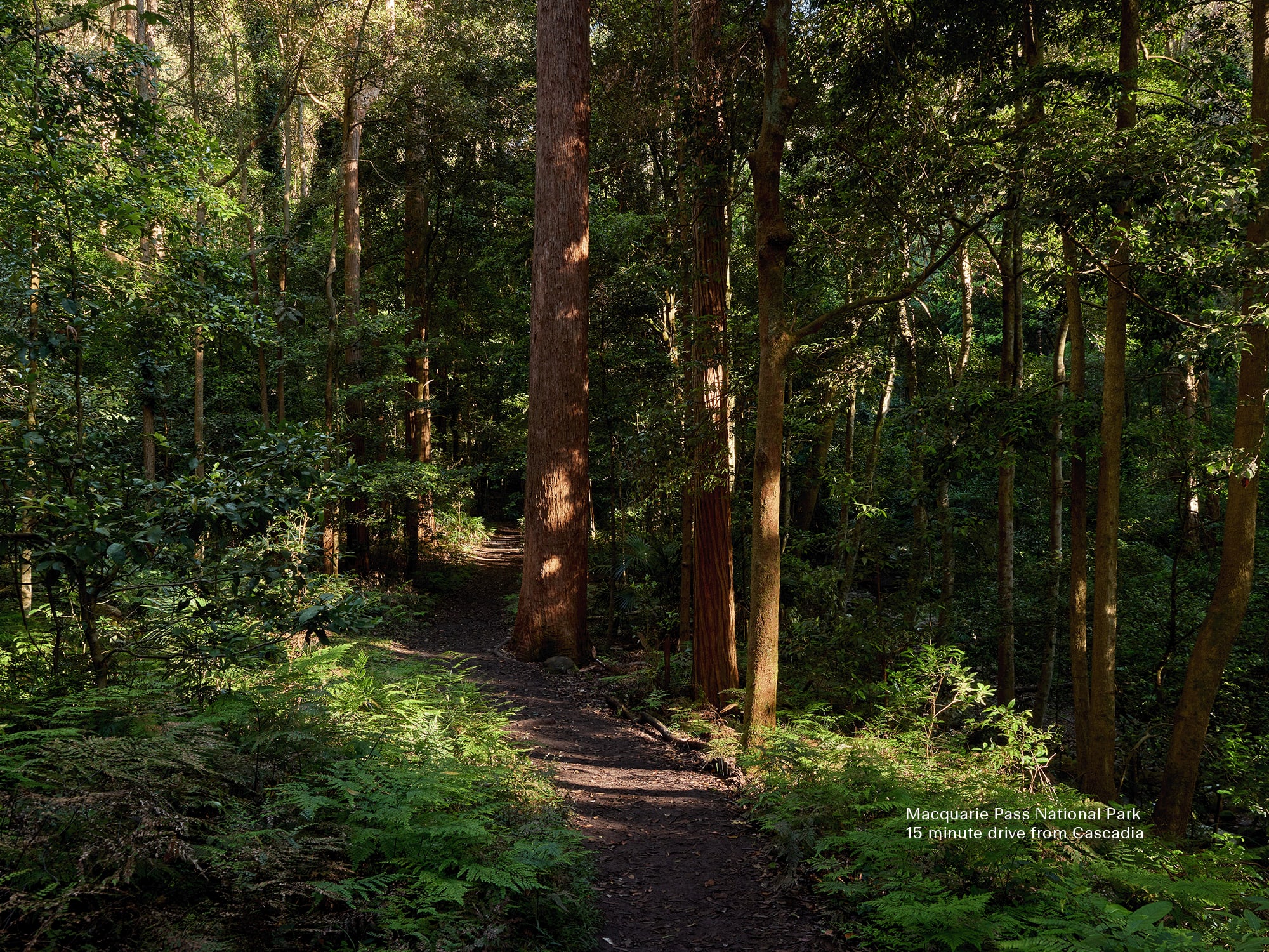 2000x1500px Macquarie Pass National Park