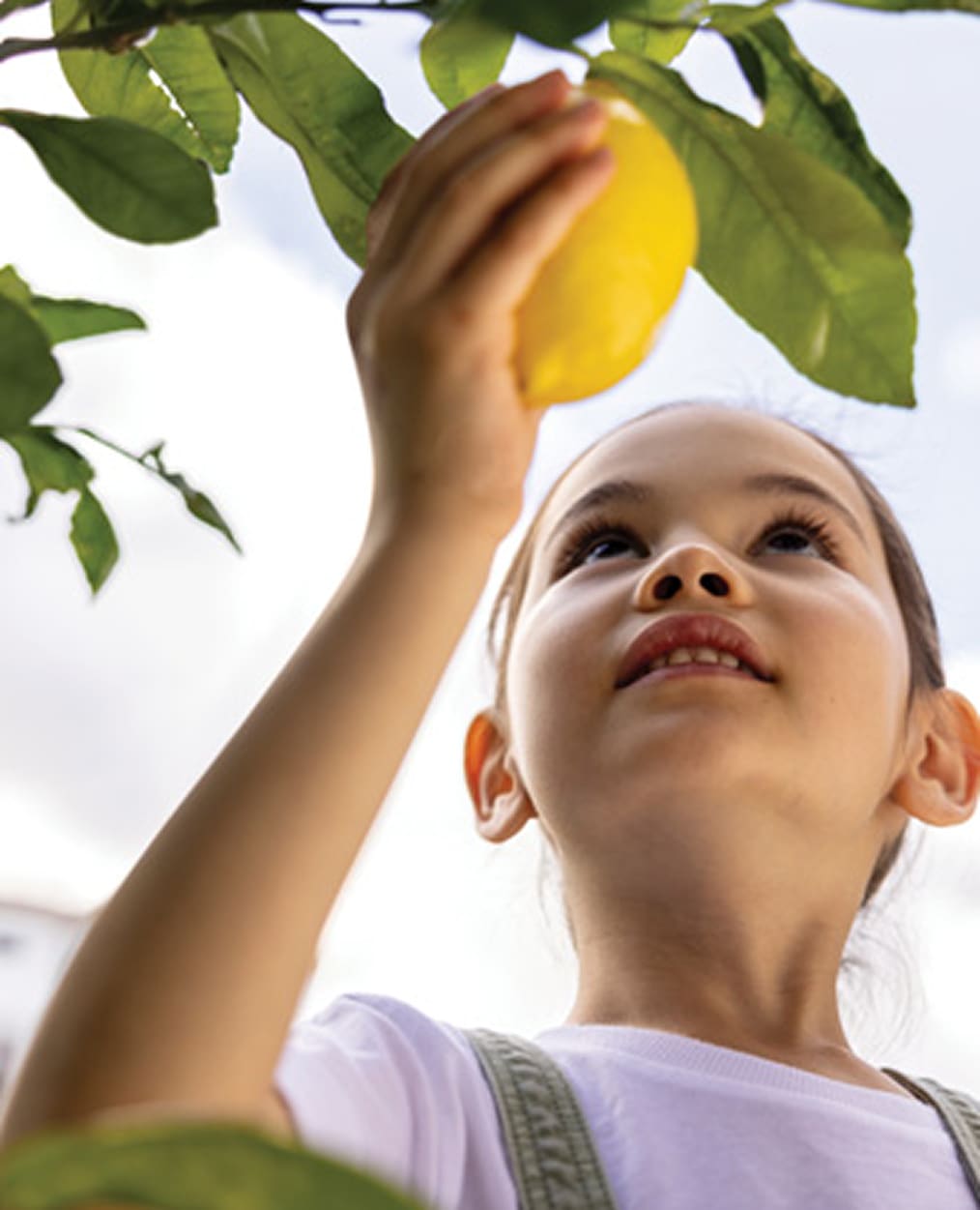 Orchards Home Feature talent 1