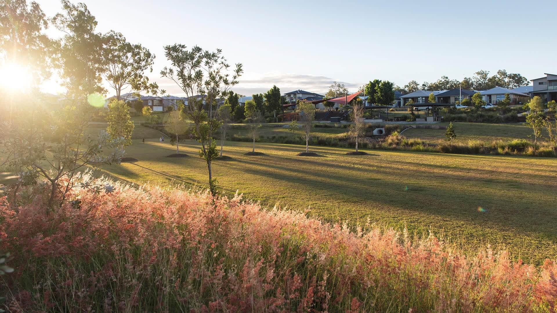 Ecco Ripley Sekisui House Australia