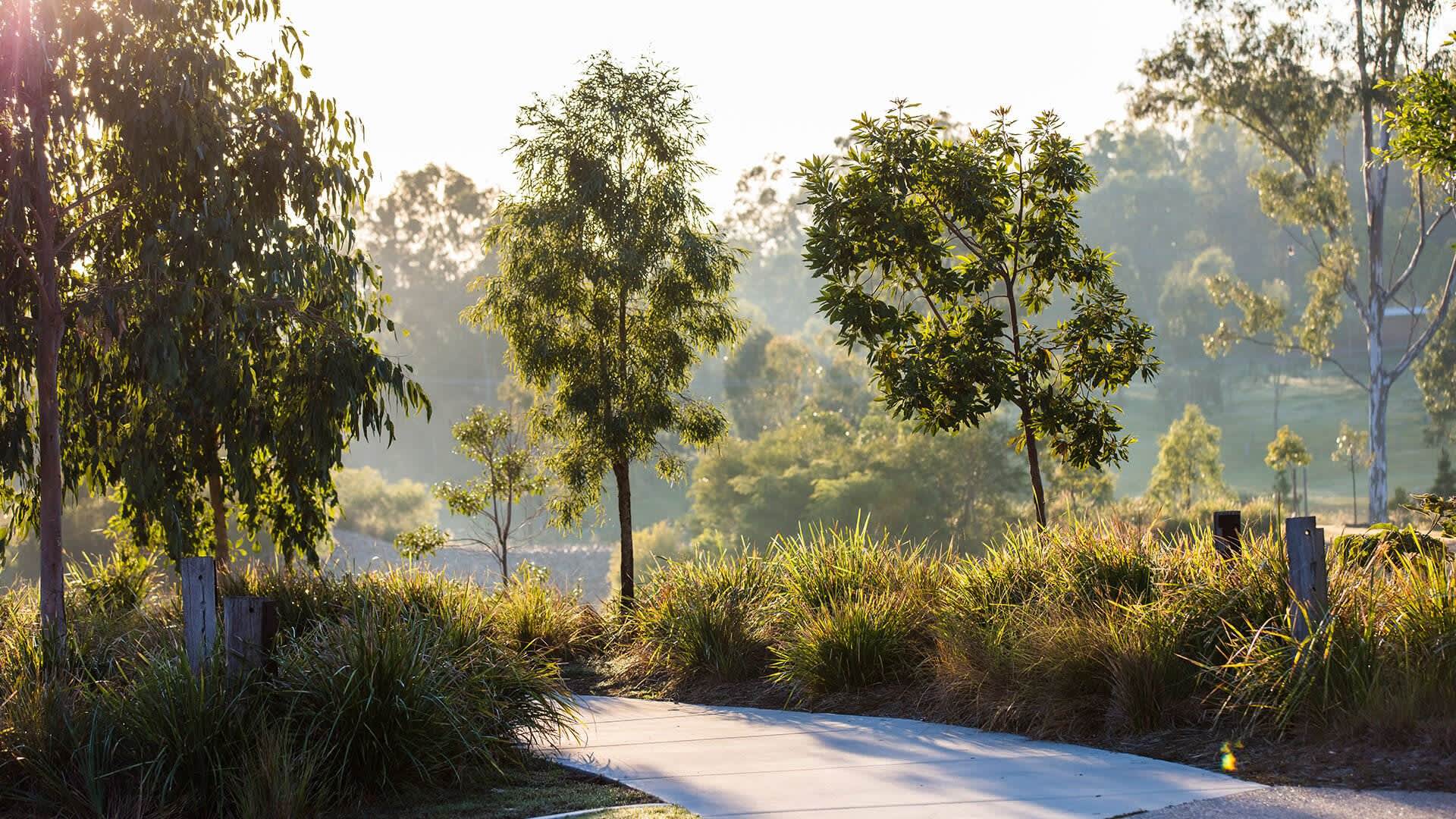 Ecco Ripley Sekisui House Australia