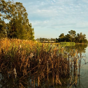 the hermitage news 1920x1080 v2.jpg