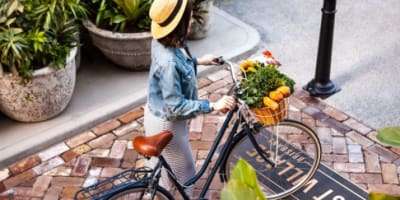 Newsletter Image 8 FillWzU0MCwyNDNd