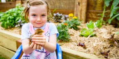 Newsletter Image 6 FillWzU0MCwyNDNd