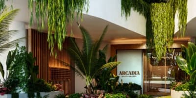 arcadia south FillWzU0MCwyNDNd v3