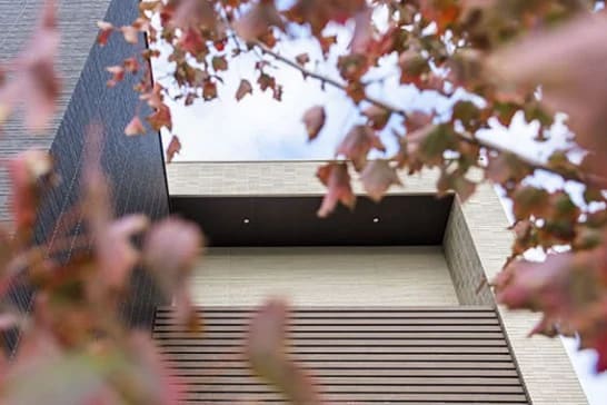 2019 shinka FillWzU0NiwzNjRd