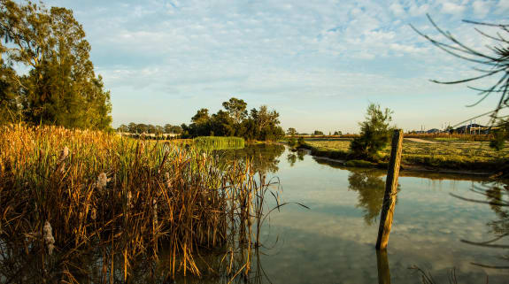 Gledswood-Hills-News.jpg