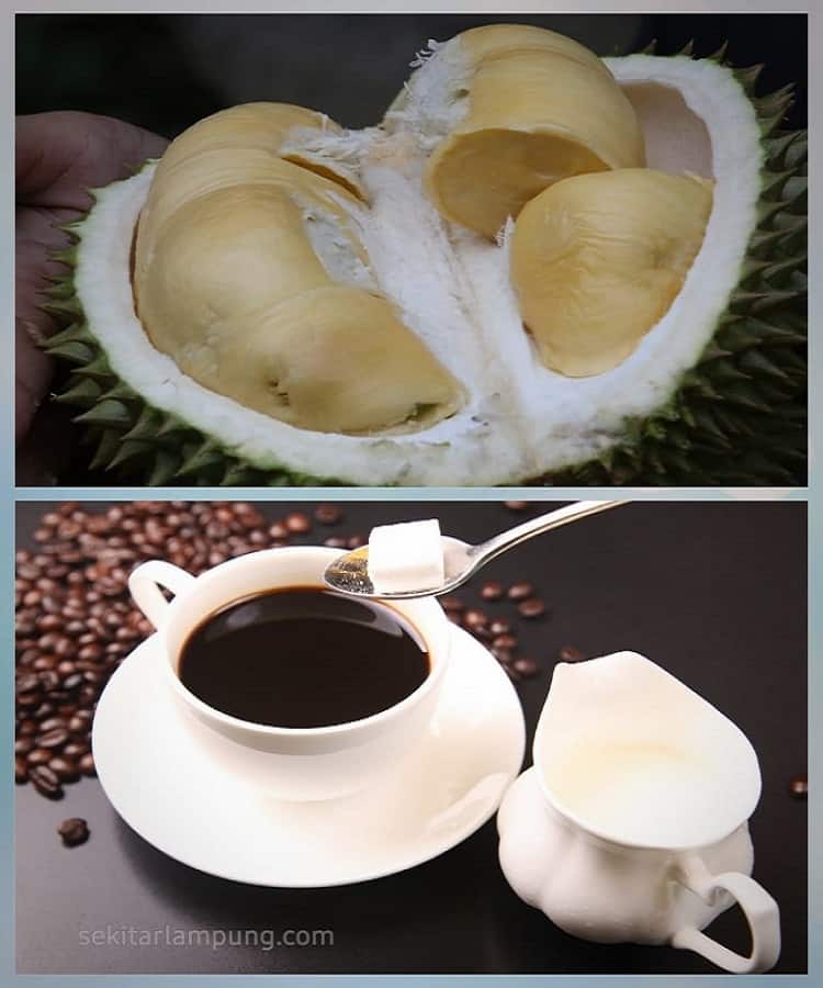 Durian Kopi Luwak Lampung Barat