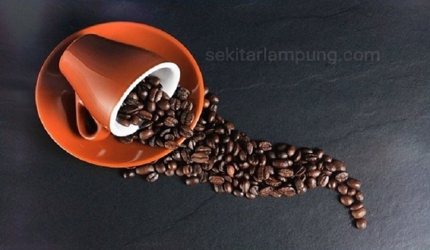 Oleh-Oleh Khas Lampung