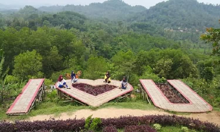Bukit PJR Pringsewu
