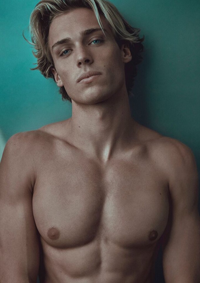 tanner knox