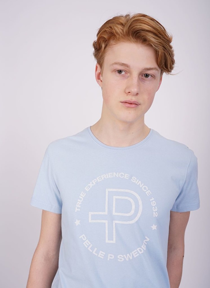 hugo palm