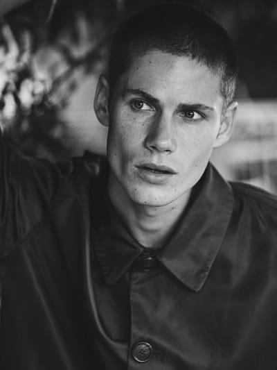 BENJAMIN ORLANDO
