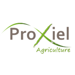 Proxiel Logo