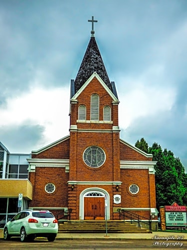 Image 4