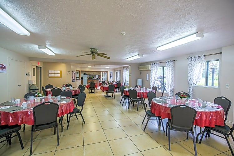 Image 4