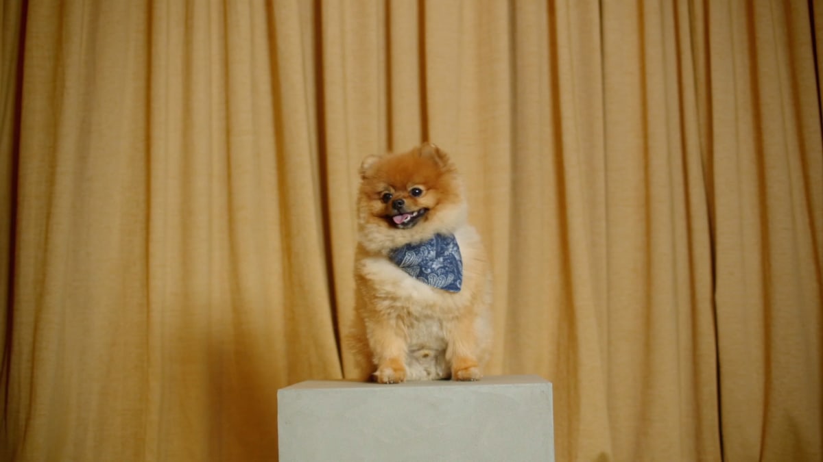 OD SADA PAMETNIJE KUPUJEM