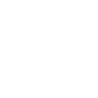 Behance 2020