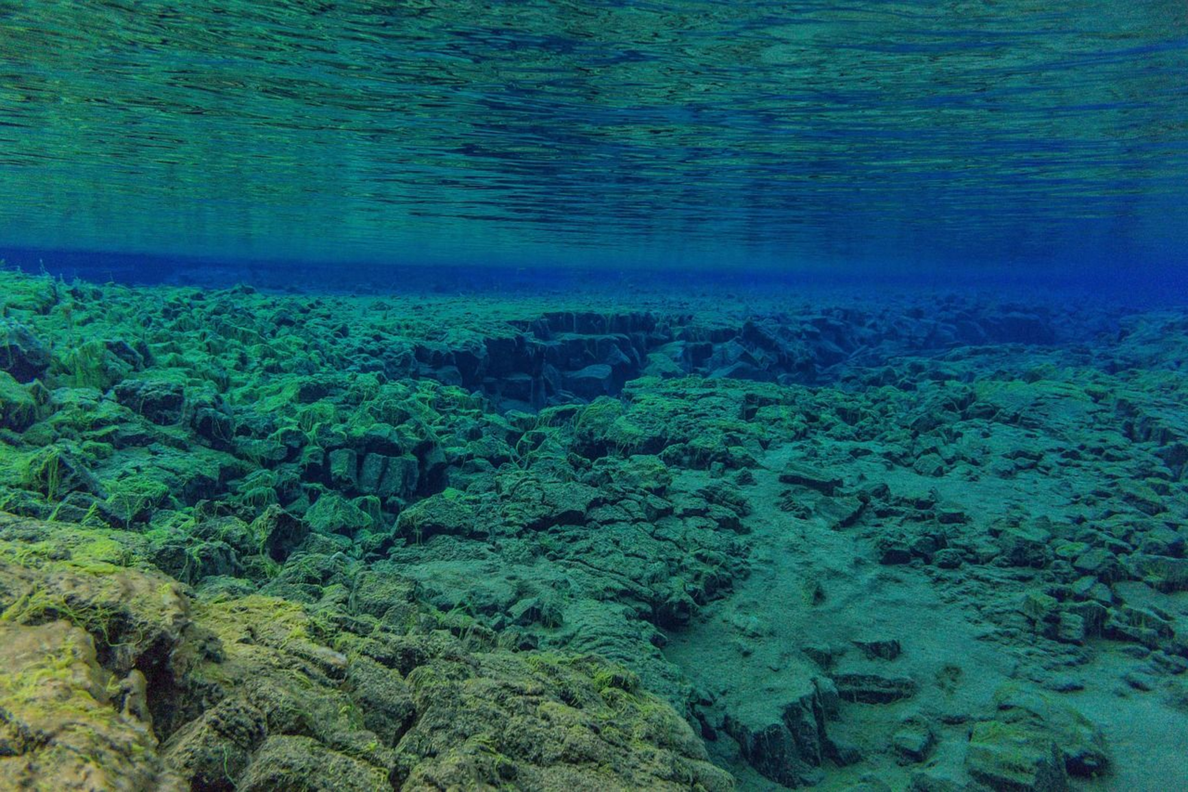 Silfra snorkeling8.jpg