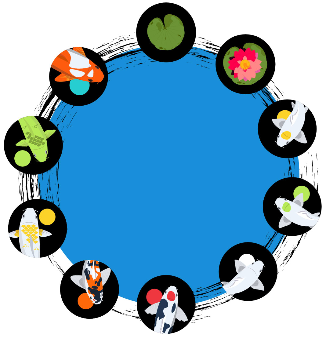 lean six sigma training