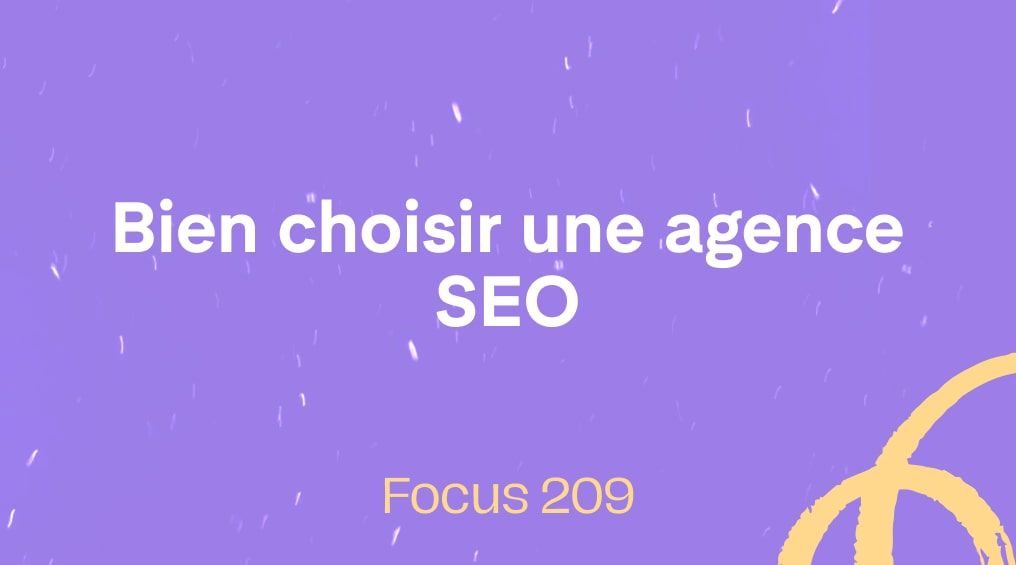 Comment bien choisir son agence SEO ⋈ 209
