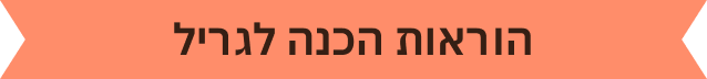 הוראות-הגנה-לגריל
