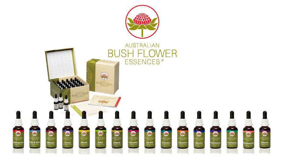 Fiori australiani a Torino consulenza consulto personale - Boab è il fiore del Baobab australiano, uno dei 69 fiori del bush australiano scoperti da Ian White