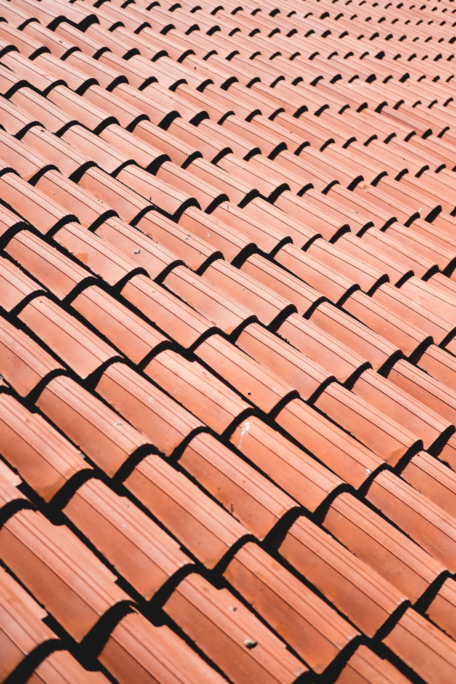 Red roof tiles