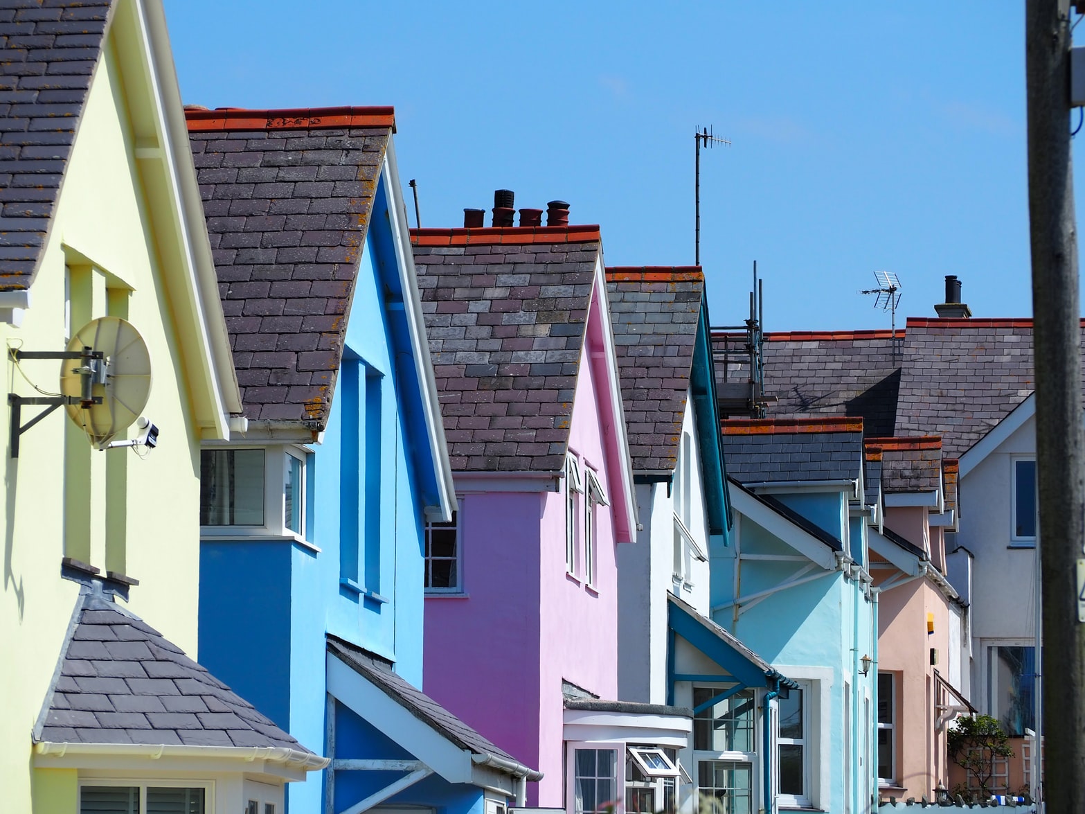 roofs with asphalt shingles