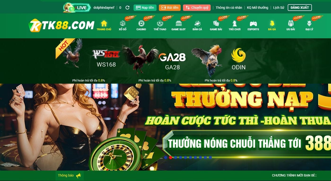 Các sảnh cược đá gà chính thức tại nhà cái TK88