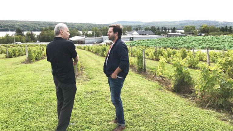 Les vendanges de Magog Les vendanges de Magog