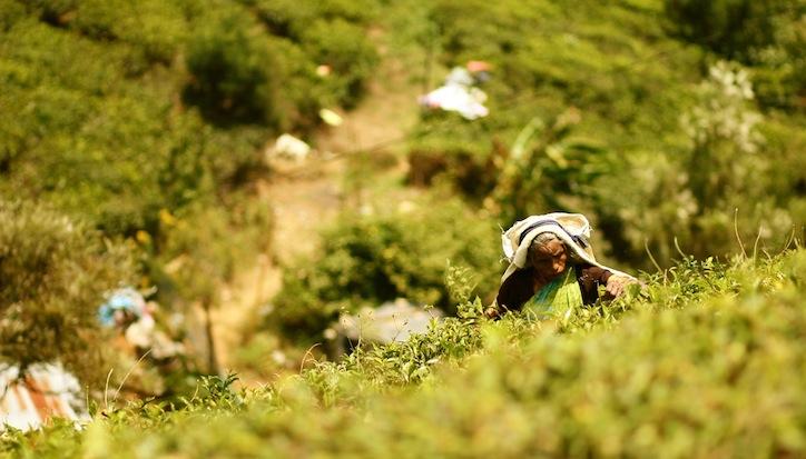 La course Évasion autour du monde