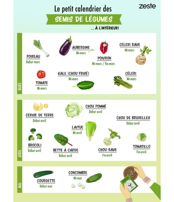 Calendrier Des Plantation De Legumes 2022