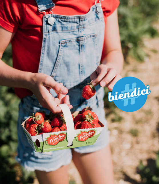 Recettes De Desserts Aux Fraises Zeste