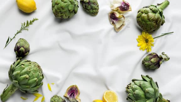 Cultiver L Artichaut D Ici Zeste