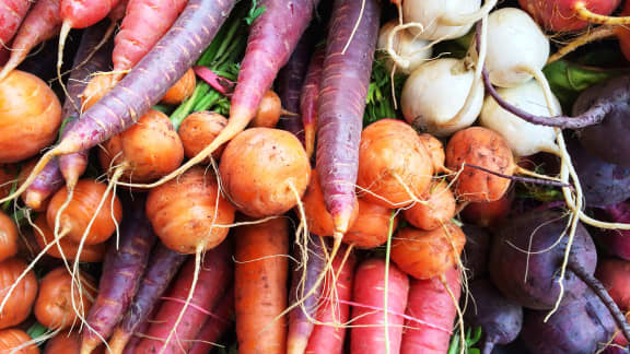 Nos meilleures recettes pour cuisiner les légumes racines | Zeste