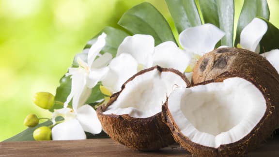 10 Succulents Desserts A La Noix De Coco Zeste