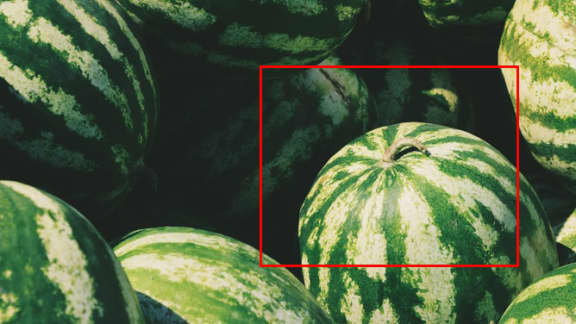 Comment bien choisir son melon d'eau à l'épicerie à tous ...