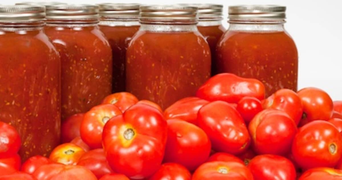 Ketchup à la tomate en pots Mason Zeste