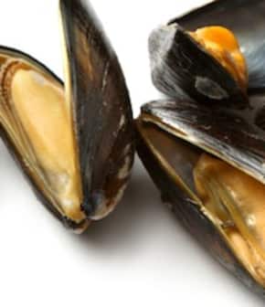 Recette De Moules Poulette Foodlavie