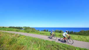 Véloroute des Bleuets : ce joyau du cyclotourisme autour du lac Saint-Jean