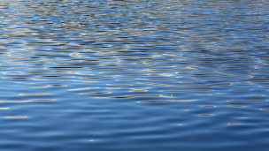 Petar Stoychev : vers un 10e titre ?