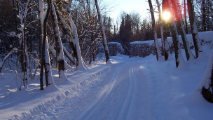 Québec // Centre de ski de fond Dansereau