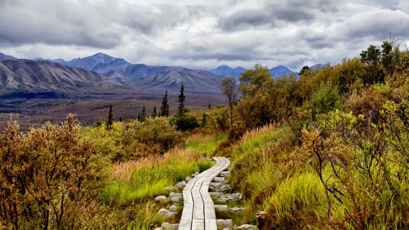 Denali : le parc dont vous êtes le héros