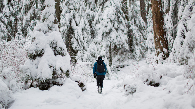 Les 11 Meilleurs Gants & Mitaines de l'hiver 2024