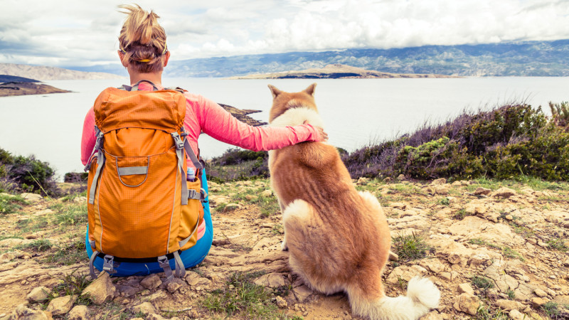 8 Chiens Parfait Pour Le Plein Air Et La Randonnée Espaces