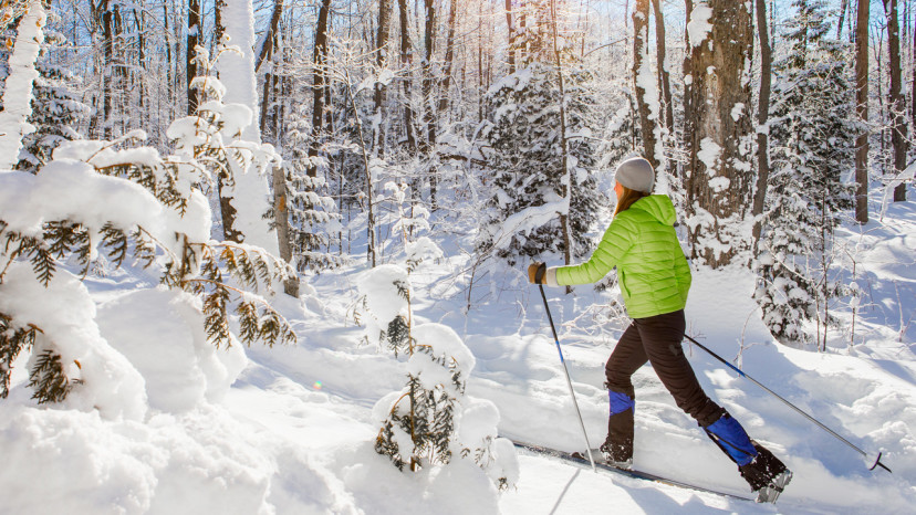 Ski De Fond Gratuit Au Québec Espaces